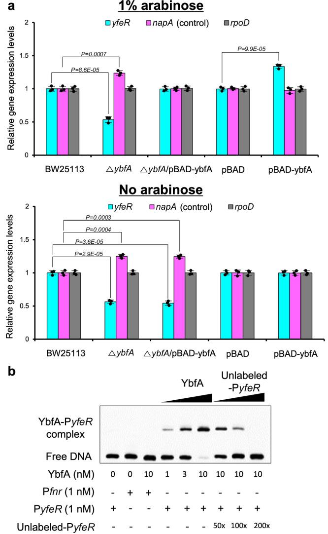 https://cdn.ncbi.nlm.nih.gov/pmc/blobs/7faa/11227560/86408c4e31f1/41467_2024_50116_Fig6_HTML.jpg