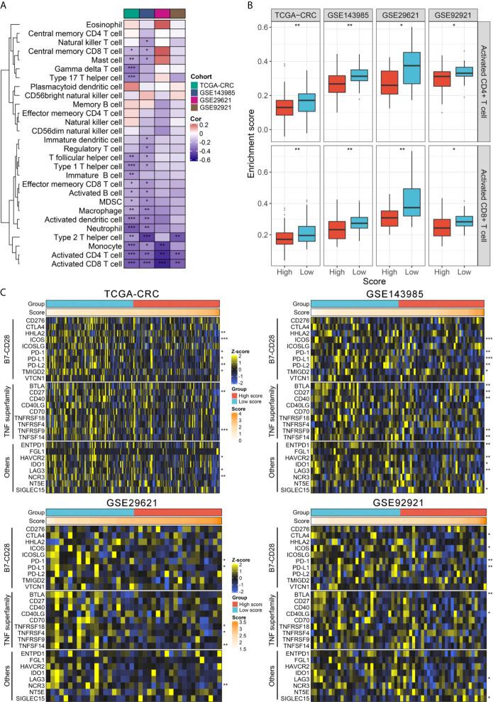 https://cdn.ncbi.nlm.nih.gov/pmc/blobs/7faa/8358813/6509b2bb5667/fimmu-12-702594-g005.jpg