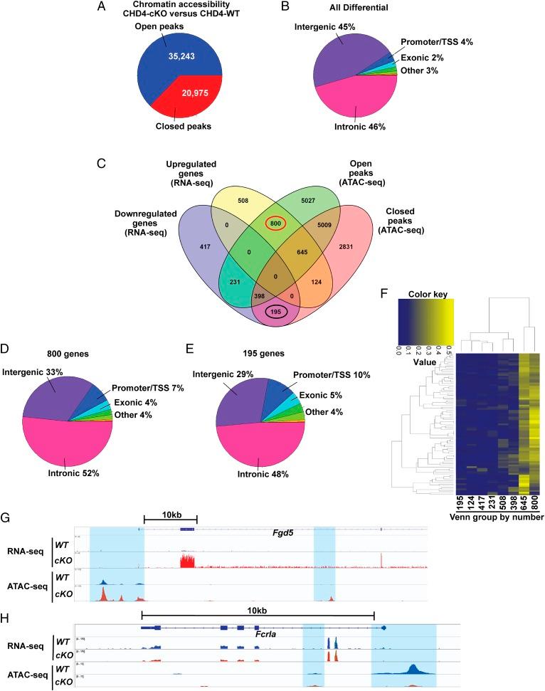 https://cdn.ncbi.nlm.nih.gov/pmc/blobs/7fac/6561196/1cda4a70c8e2/pnas.1821301116fig06.jpg