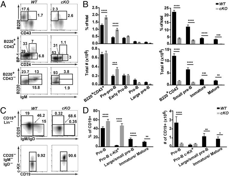 https://cdn.ncbi.nlm.nih.gov/pmc/blobs/7fac/6561196/872df5aa92df/pnas.1821301116fig02.jpg