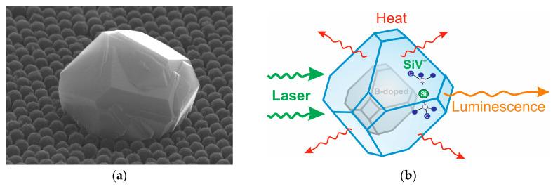 https://cdn.ncbi.nlm.nih.gov/pmc/blobs/7faf/10745927/f81657c67478/nanomaterials-13-03124-g002.jpg