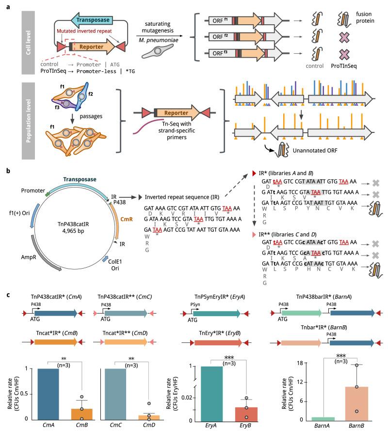 https://cdn.ncbi.nlm.nih.gov/pmc/blobs/7faf/10920889/5a9185490583/41467_2024_46112_Fig1_HTML.jpg