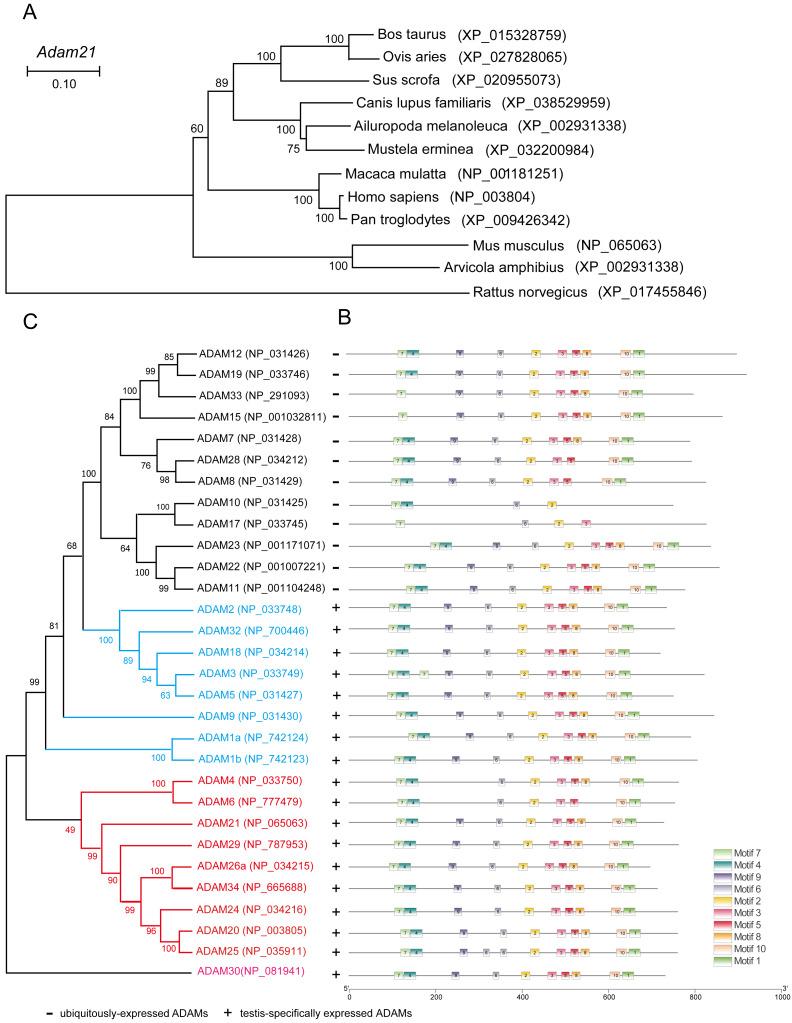 https://cdn.ncbi.nlm.nih.gov/pmc/blobs/7fb0/8465997/2305f6ec4a06/peerj-09-12210-g006.jpg