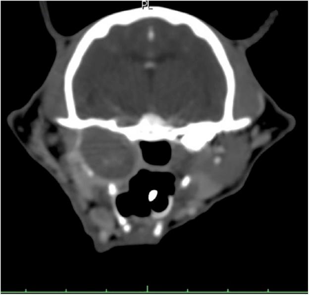 https://cdn.ncbi.nlm.nih.gov/pmc/blobs/7fb2/6537255/8012ccbfb5b8/10.1177_2055116919848086-fig4.jpg