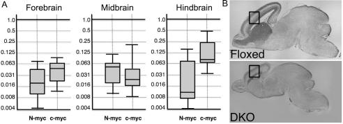 https://cdn.ncbi.nlm.nih.gov/pmc/blobs/7fb3/3157703/08de05beccb2/oncotarget-01-120-g001.jpg