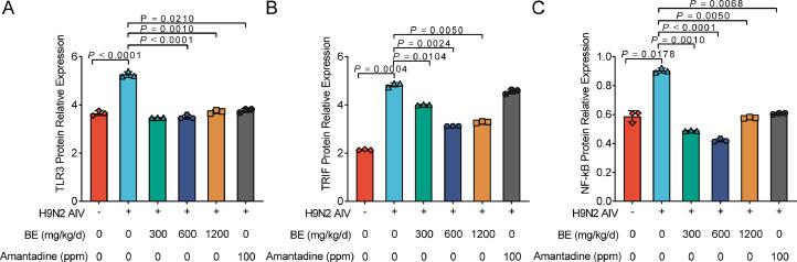 https://cdn.ncbi.nlm.nih.gov/pmc/blobs/7fb6/11208944/4a82c16c58c6/gr5.jpg