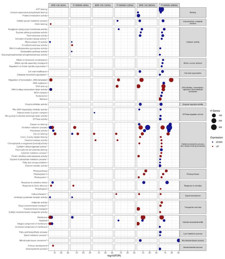 https://cdn.ncbi.nlm.nih.gov/pmc/blobs/7fb7/9612212/9ff244ed2cc2/plants-11-02744-g002.jpg