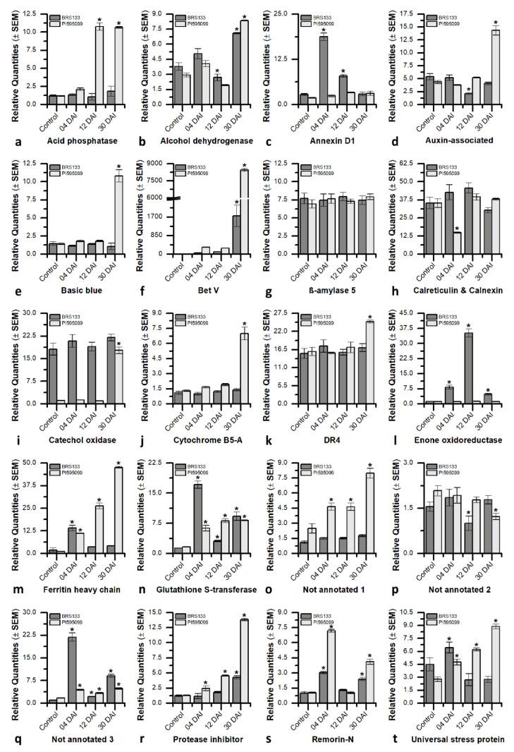 https://cdn.ncbi.nlm.nih.gov/pmc/blobs/7fb7/9612212/c0a67dd1c318/plants-11-02744-g006.jpg