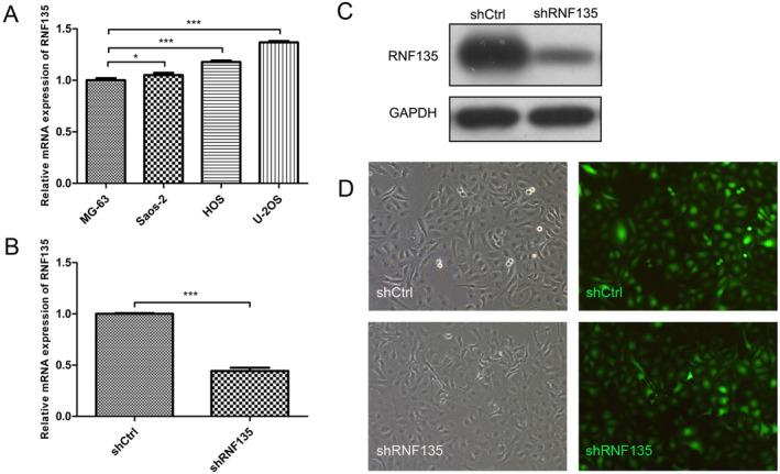 https://cdn.ncbi.nlm.nih.gov/pmc/blobs/7fb8/11310095/70df823d3d33/CNR2-7-e2159-g001.jpg