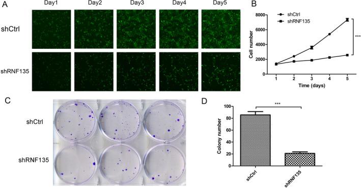 https://cdn.ncbi.nlm.nih.gov/pmc/blobs/7fb8/11310095/b8b5fa3ddcb1/CNR2-7-e2159-g002.jpg