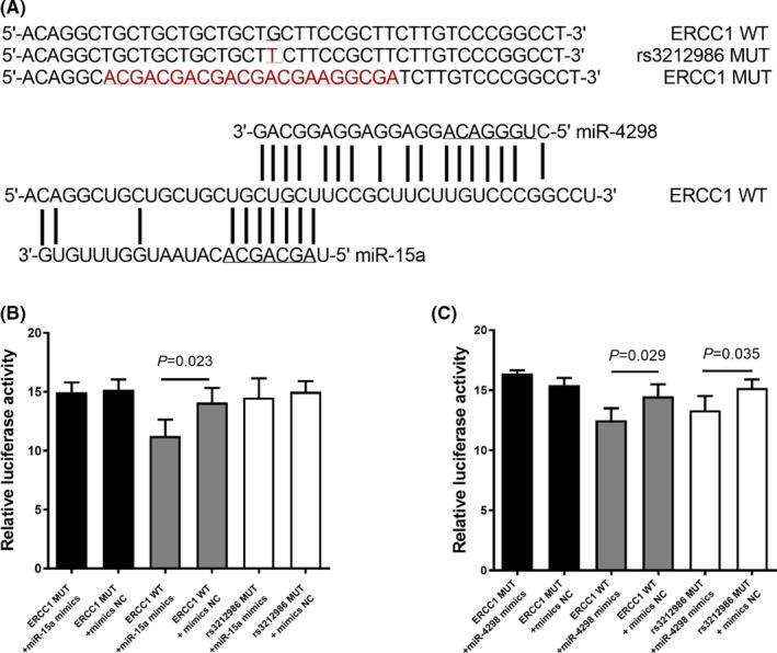 https://cdn.ncbi.nlm.nih.gov/pmc/blobs/7fb9/9639052/e6e923fd5487/JCMM-26-5439-g001.jpg