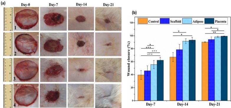 https://cdn.ncbi.nlm.nih.gov/pmc/blobs/7fba/11328517/153e04bb474e/13287_2024_3772_Fig9_HTML.jpg