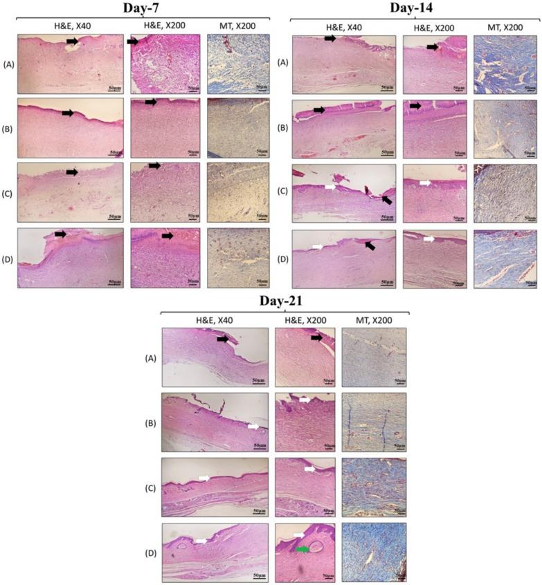 https://cdn.ncbi.nlm.nih.gov/pmc/blobs/7fba/11328517/15ad16175253/13287_2024_3772_Fig10_HTML.jpg