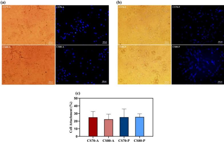 https://cdn.ncbi.nlm.nih.gov/pmc/blobs/7fba/11328517/1891418ffd67/13287_2024_3772_Fig4_HTML.jpg