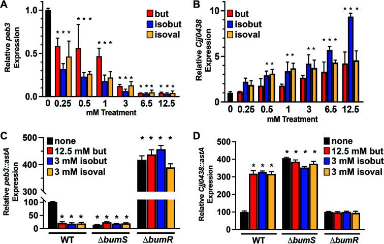 https://cdn.ncbi.nlm.nih.gov/pmc/blobs/7fba/11796366/6ee0dbd8bd6b/mbio.03278-24.f003.jpg