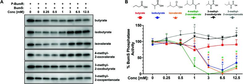 https://cdn.ncbi.nlm.nih.gov/pmc/blobs/7fba/11796366/cc877c18db37/mbio.03278-24.f002.jpg