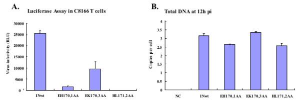https://cdn.ncbi.nlm.nih.gov/pmc/blobs/7fbd/2859858/1b5c99f550e9/1743-422X-7-68-6.jpg