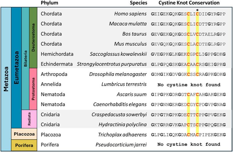 https://cdn.ncbi.nlm.nih.gov/pmc/blobs/7fbf/12107170/d39893046ddb/pnas.2420308122fig06.jpg