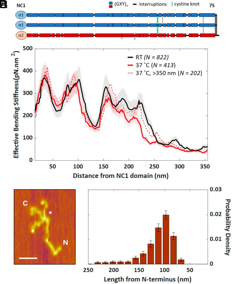 https://cdn.ncbi.nlm.nih.gov/pmc/blobs/7fbf/12107170/eff7feadc275/pnas.2420308122fig02.jpg