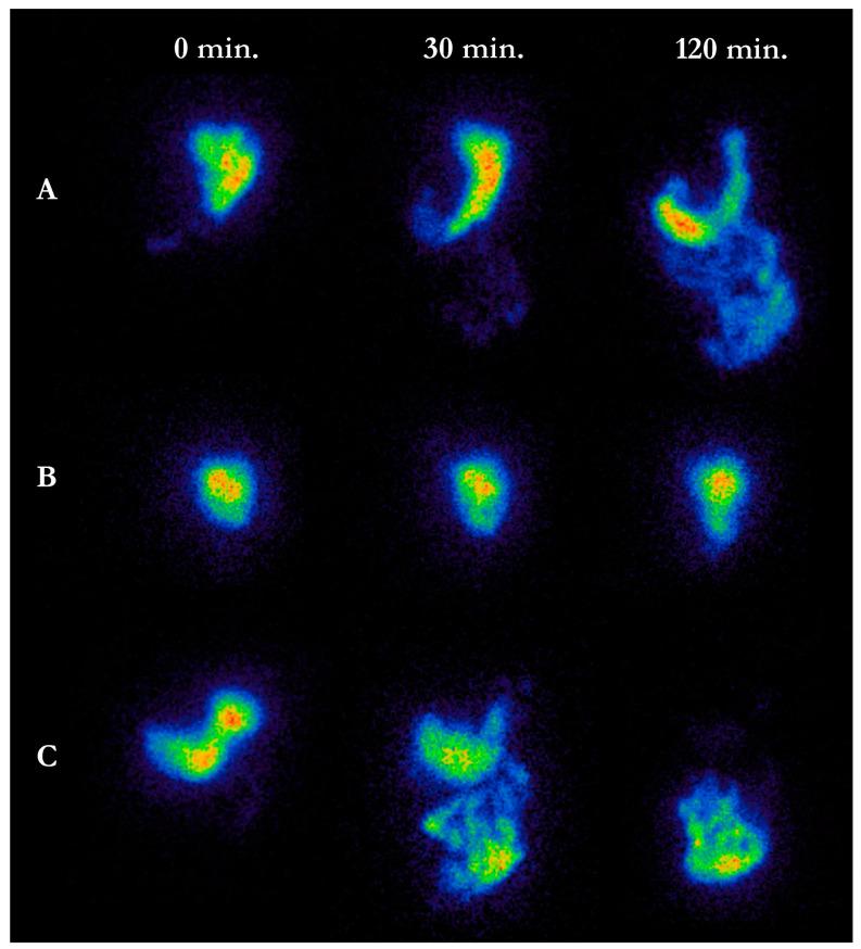 https://cdn.ncbi.nlm.nih.gov/pmc/blobs/7fc0/7866791/afc6d3a4fe6e/jcm-10-00493-g001.jpg