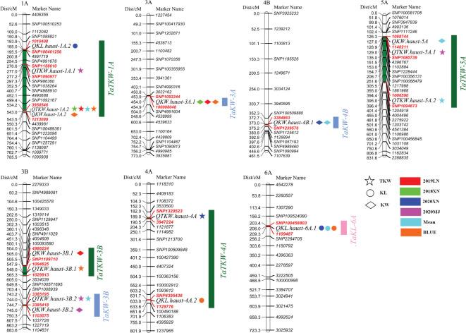 https://cdn.ncbi.nlm.nih.gov/pmc/blobs/7fc1/9951491/72d745960800/fpls-14-1072233-g004.jpg