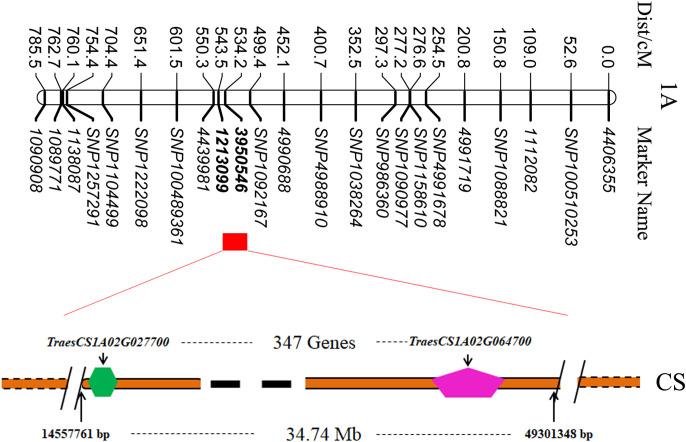 https://cdn.ncbi.nlm.nih.gov/pmc/blobs/7fc1/9951491/b6584d5c9705/fpls-14-1072233-g005.jpg