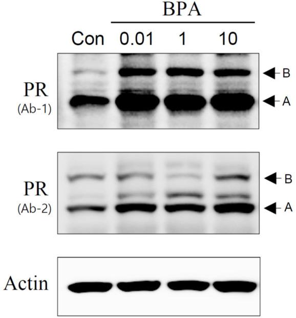 https://cdn.ncbi.nlm.nih.gov/pmc/blobs/7fc2/10824565/4d9d42244086/dr-27-4-195-g2.jpg