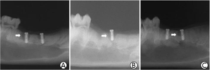 https://cdn.ncbi.nlm.nih.gov/pmc/blobs/7fc5/6998194/056ffa681fe0/40824_2020_183_Fig1_HTML.jpg