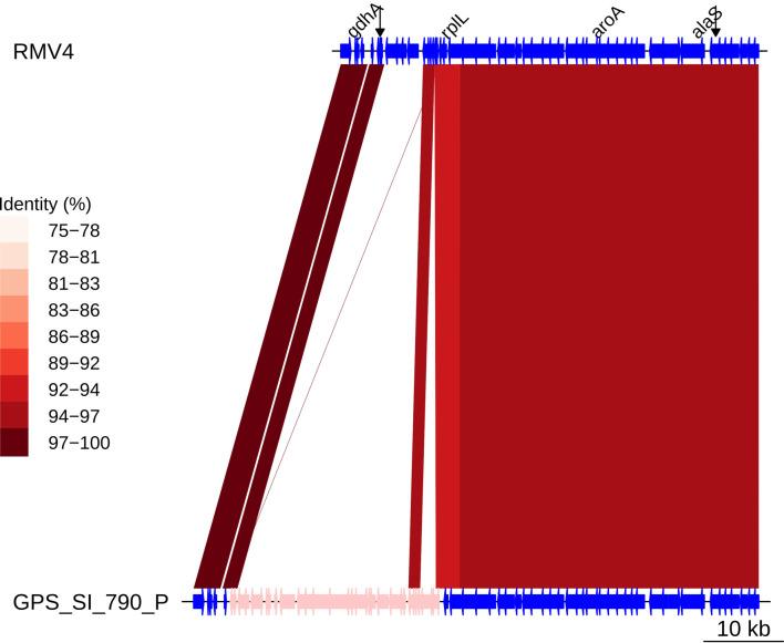 https://cdn.ncbi.nlm.nih.gov/pmc/blobs/7fc5/8321556/4921aabf4c11/elife-67113-fig7-figsupp5.jpg