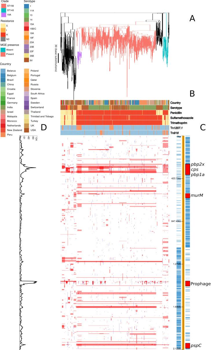 https://cdn.ncbi.nlm.nih.gov/pmc/blobs/7fc5/8321556/ecc244f41235/elife-67113-fig1.jpg
