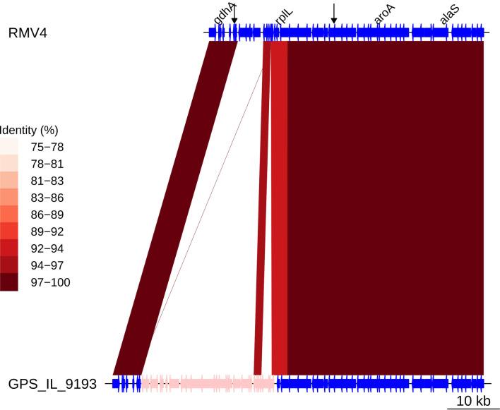 https://cdn.ncbi.nlm.nih.gov/pmc/blobs/7fc5/8321556/f70e85e001e6/elife-67113-fig7-figsupp6.jpg