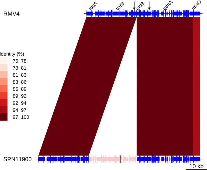 https://cdn.ncbi.nlm.nih.gov/pmc/blobs/7fc5/8321556/fd3b24d50a47/elife-67113-fig7-figsupp3.jpg