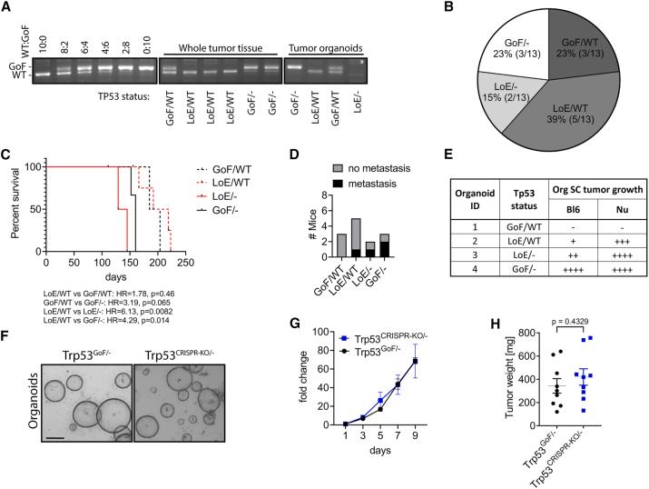 https://cdn.ncbi.nlm.nih.gov/pmc/blobs/7fc7/11372443/4fe646fd2045/gr2.jpg