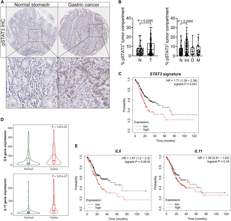 https://cdn.ncbi.nlm.nih.gov/pmc/blobs/7fc7/11372443/f77d9b6eb2c9/gr5.jpg