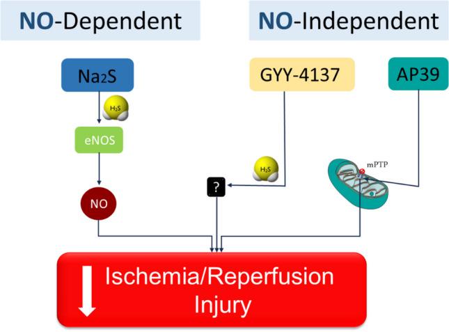 https://cdn.ncbi.nlm.nih.gov/pmc/blobs/7fc8/10858931/a909dedf8405/210_2023_2729_Fig5_HTML.jpg