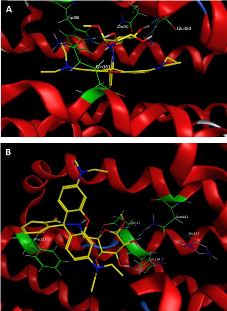 https://cdn.ncbi.nlm.nih.gov/pmc/blobs/7fc9/12135577/d221c84fdaa5/d4cb00239c-f4.jpg