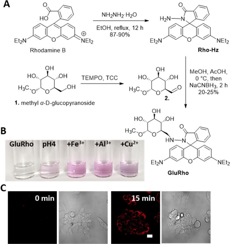 https://cdn.ncbi.nlm.nih.gov/pmc/blobs/7fc9/12135577/fa56fdcc07bb/d4cb00239c-f1.jpg
