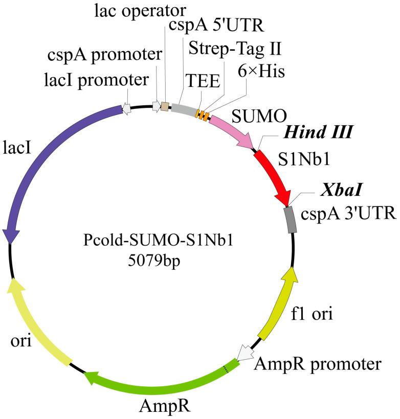 https://cdn.ncbi.nlm.nih.gov/pmc/blobs/7fca/11430113/b16d02ec1815/biomolecules-14-01116-g001.jpg