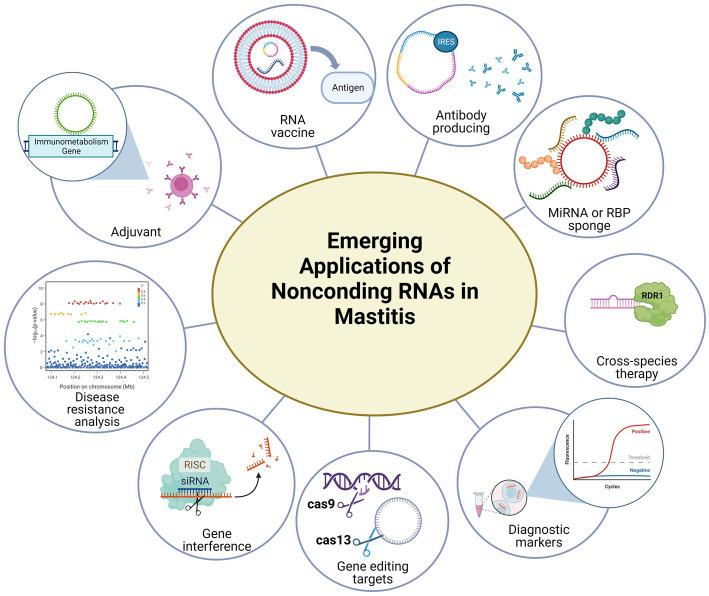 https://cdn.ncbi.nlm.nih.gov/pmc/blobs/7fce/9707628/6568d9551e8e/fmicb-13-1048142-g004.jpg