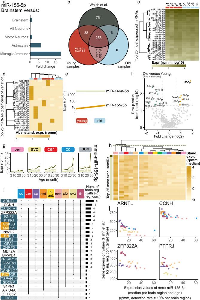 https://cdn.ncbi.nlm.nih.gov/pmc/blobs/7fd1/12085673/5652ffc4b6c8/41467_2025_59860_Fig5_HTML.jpg