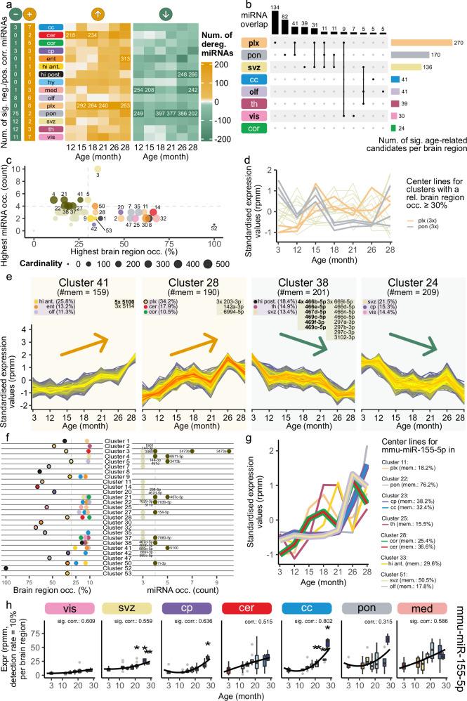 https://cdn.ncbi.nlm.nih.gov/pmc/blobs/7fd1/12085673/fc72457b571a/41467_2025_59860_Fig4_HTML.jpg