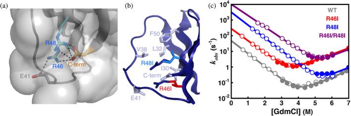 https://cdn.ncbi.nlm.nih.gov/pmc/blobs/7fd3/11168068/6bf5a11a2156/PRO-33-e5031-g003.jpg