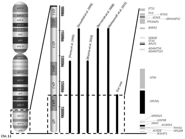 https://cdn.ncbi.nlm.nih.gov/pmc/blobs/7fd6/8394748/8c8cf56639ac/genes-12-01197-g002.jpg