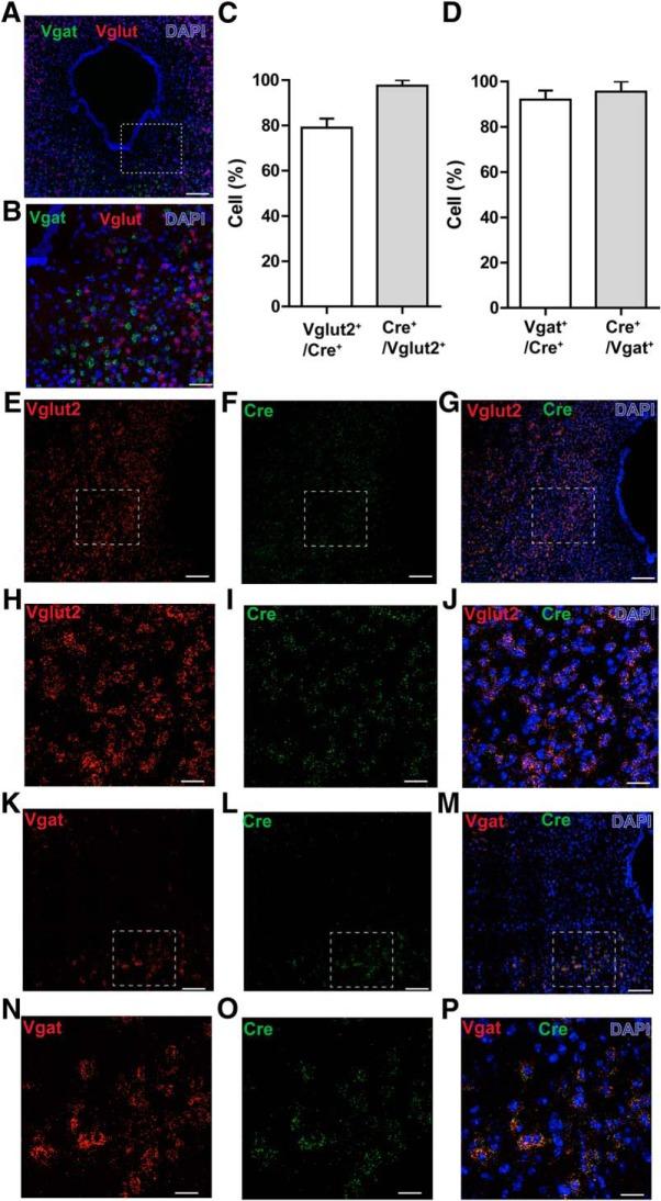 https://cdn.ncbi.nlm.nih.gov/pmc/blobs/7fda/5370278/a02eb734a84e/enu0021722720002.jpg