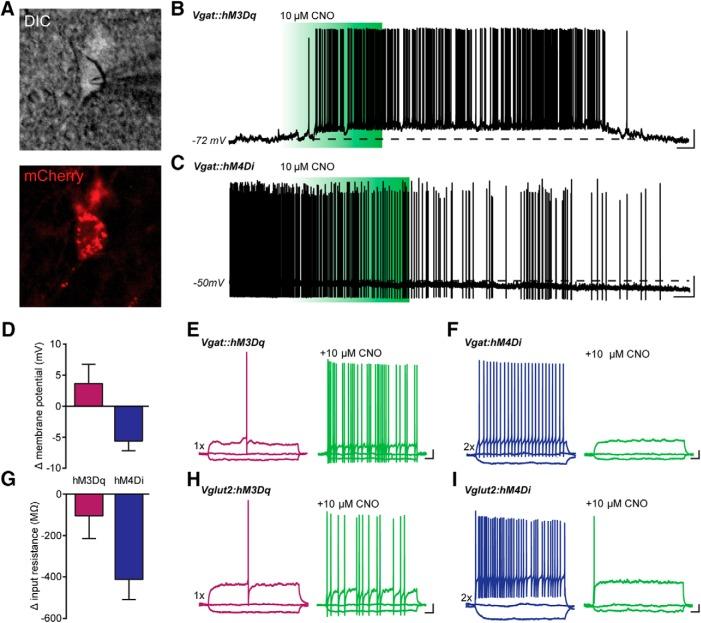 https://cdn.ncbi.nlm.nih.gov/pmc/blobs/7fda/5370278/bb355df1524c/enu0021722720003.jpg
