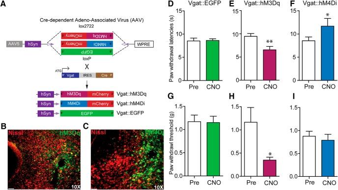 https://cdn.ncbi.nlm.nih.gov/pmc/blobs/7fda/5370278/cd659367136c/enu0021722720004.jpg