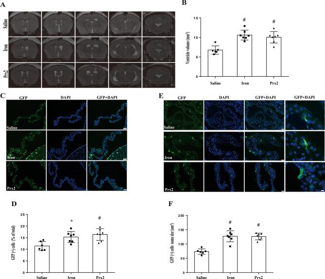https://cdn.ncbi.nlm.nih.gov/pmc/blobs/7fdb/11036653/3f95f8534c8c/12987_2024_538_Fig4_HTML.jpg