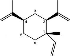 https://cdn.ncbi.nlm.nih.gov/pmc/blobs/7fdb/4593349/139a1ffe624b/40880_2015_48_Fig1_HTML.jpg