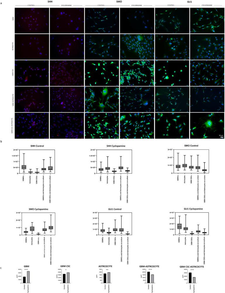 https://cdn.ncbi.nlm.nih.gov/pmc/blobs/7fdc/12393472/07ba55678738/nihpp-rs7214243v1-f0006.jpg