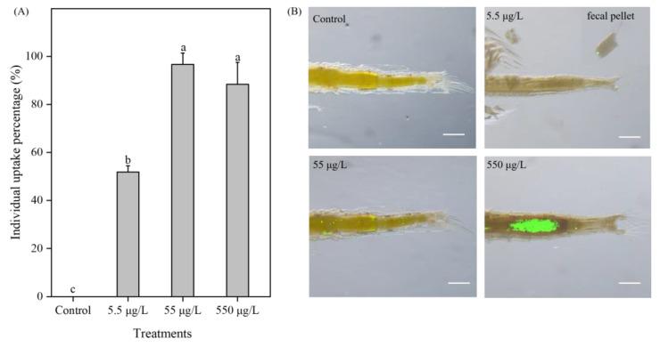 https://cdn.ncbi.nlm.nih.gov/pmc/blobs/7fdd/10145996/743584a42acd/toxics-11-00356-g005.jpg